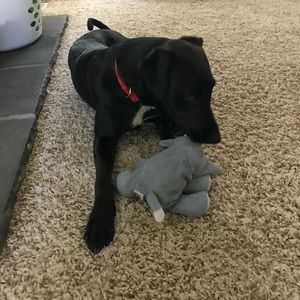 Meet your Posher, Bex